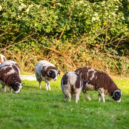 Apartament - Summerlands Hall Gothic *